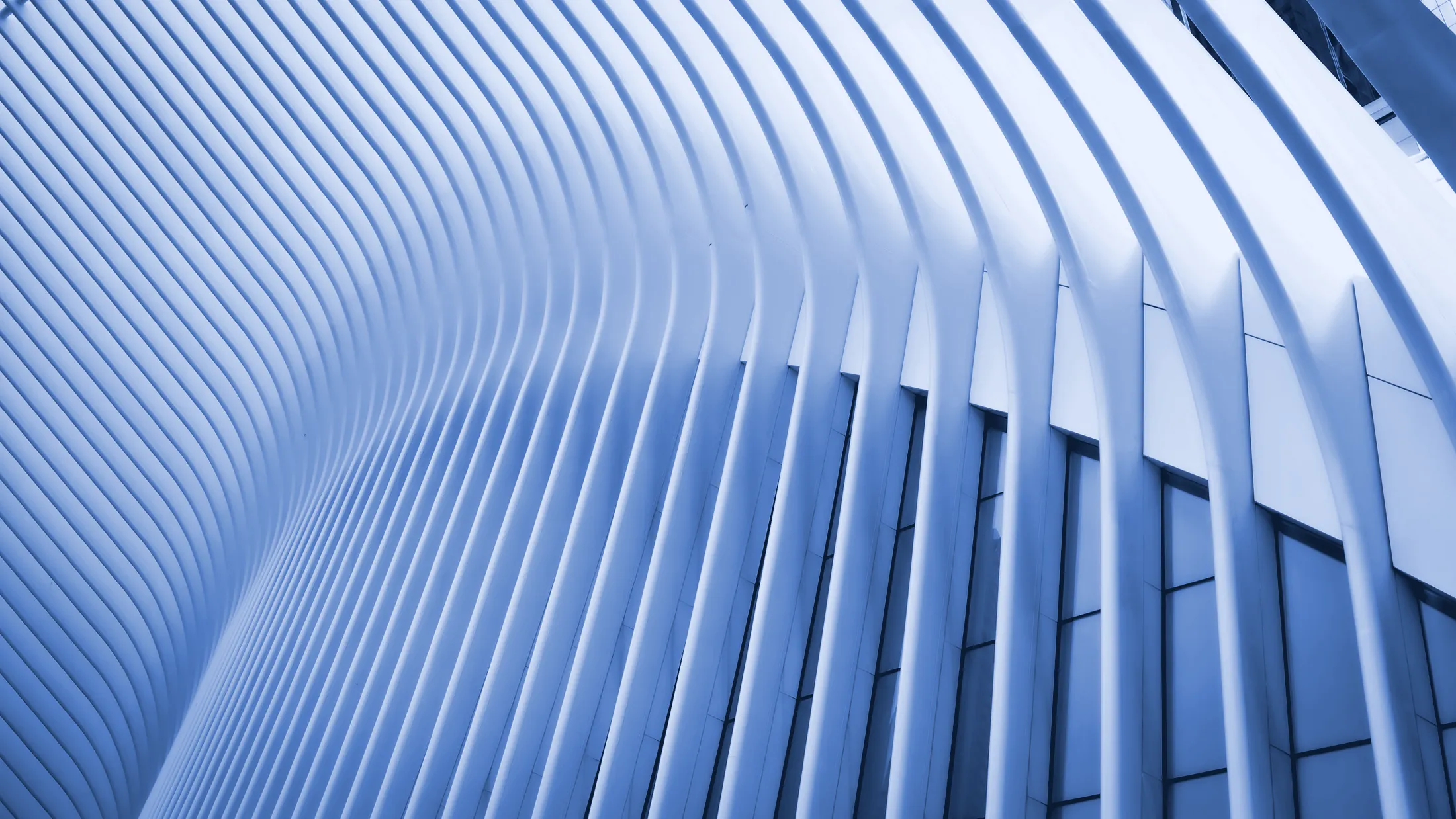 Repeating white structural ribs of a modern building in blue duotone